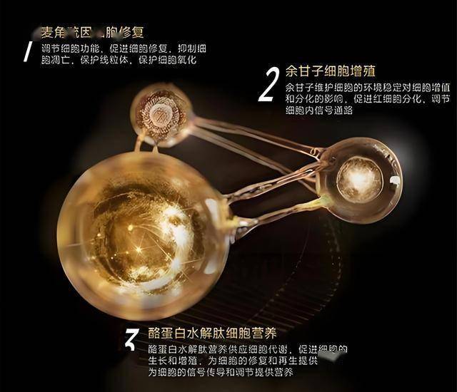 众汇wetrade官网善众汇App官网获取后，读者们复制的惊人体验让人意想不到！
